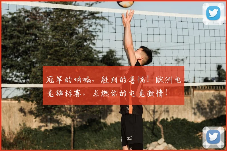 冠军的呐喊，胜利的喜悦！欧洲电竞锦标赛，点燃你的电竞激情！