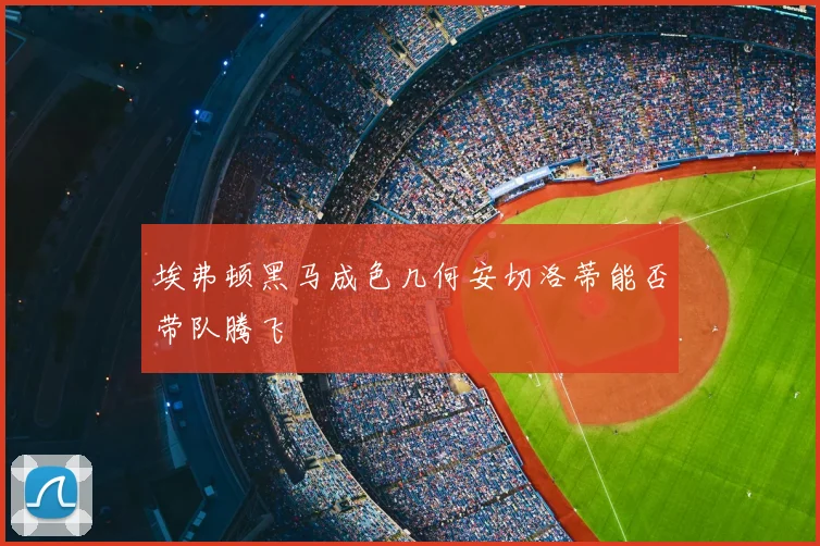 埃弗顿黑马成色几何安切洛蒂能否带队腾飞