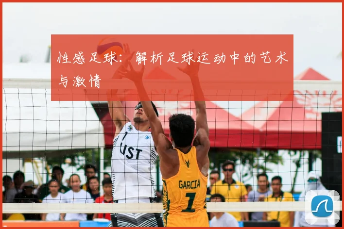 性感足球：解析足球运动中的艺术与激情