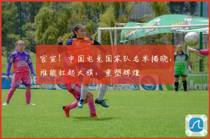 官宣！中国电竞国家队名单揭晓，谁能扛起大旗，重塑辉煌