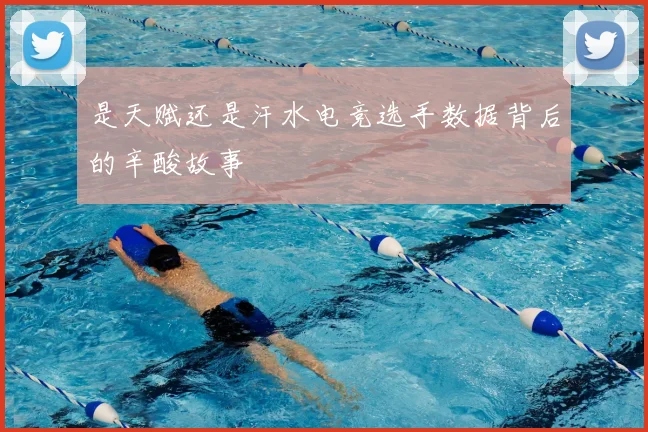 是天赋还是汗水电竞选手数据背后的辛酸故事