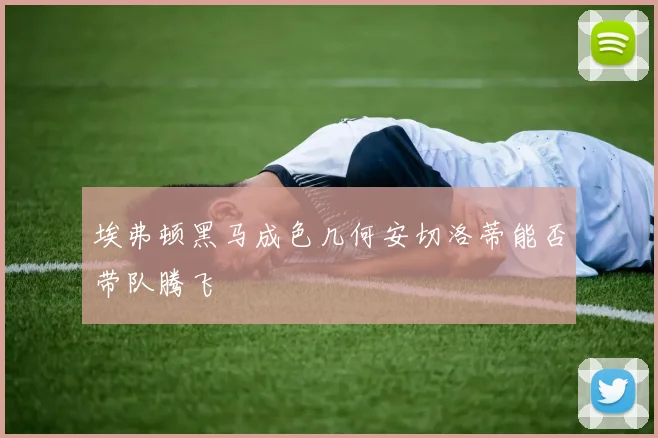 埃弗顿黑马成色几何安切洛蒂能否带队腾飞
